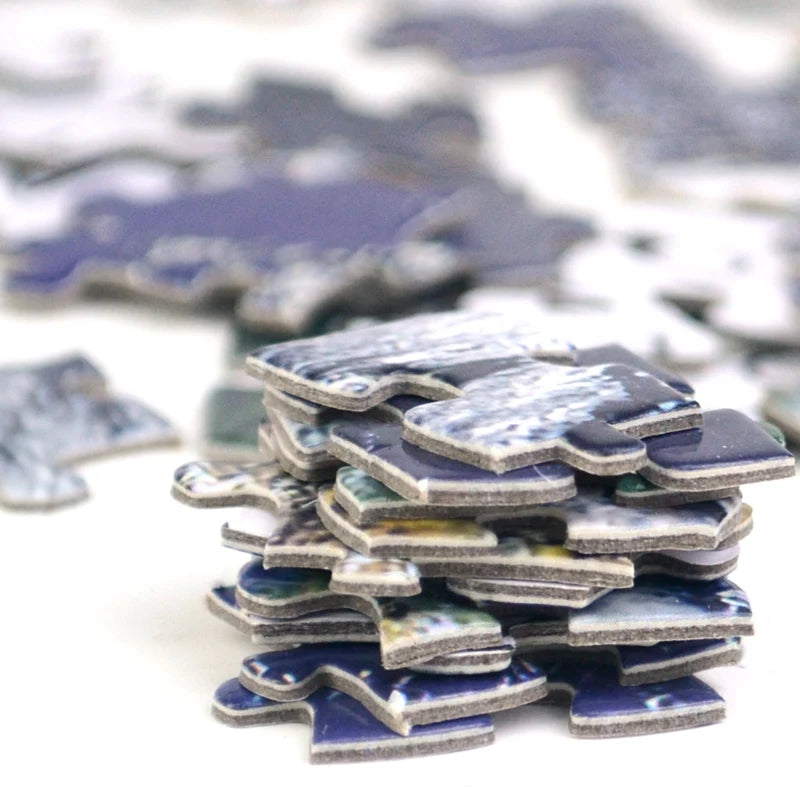 1000 Pieces Jigsaw Puzzle (Earth)